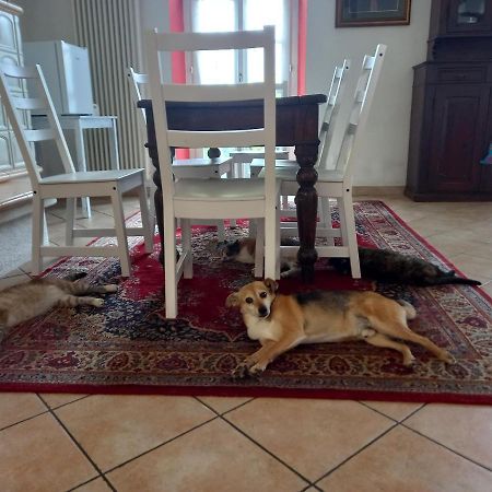 B&B Isoladelsole Perledo Екстер'єр фото
