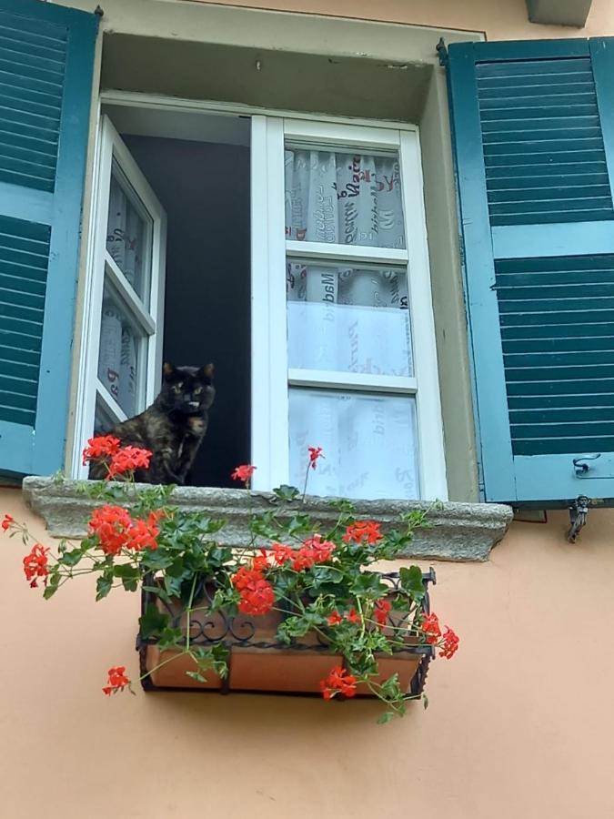 B&B Isoladelsole Perledo Екстер'єр фото